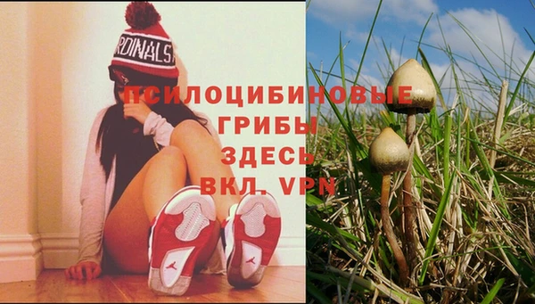 метамфетамин Вяземский