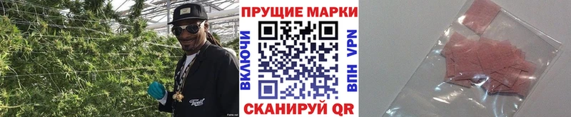 Марки 25I-NBOMe 1500мкг блэк спрут вход Черноголовка